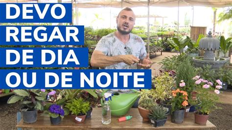 Qual O Melhor HorÁrio Para Regar Suas Plantas Murilo Soares Spagnhol Plantas Youtube