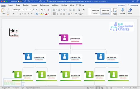 ᐈ Descargar GRATIS Plantillas Organigramas Word y Power Point