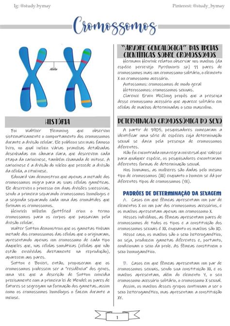 Resumo Cromossomos Resumos Enem Planos De Estudo Enem Estudos Para