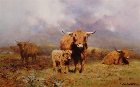 davidshepherd-highlandmist, cattle, scotland