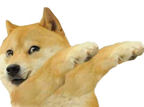 Doge Png Transparent Images Png All