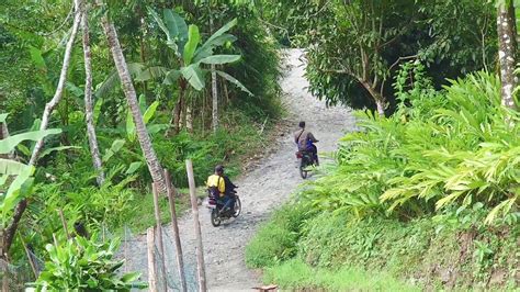 KECAPI SULING SUNDA PALING MERDU Bikin Betah Di Kampung Suasana