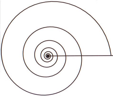 Filelogarithmic Spiralpng Wikipedia