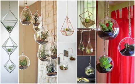 13 Awesome Hanging Terrariums for Your Home Decor - Top Dreamer