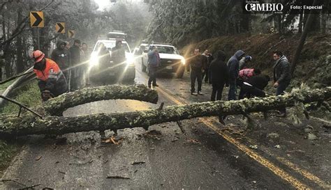 Lluvias Provocan Caída De árboles Y Deslaves En Sierra Norte