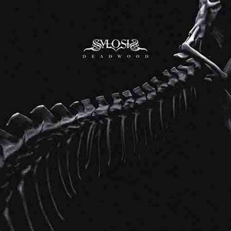 SYLOSIS Pubblicano Una Nuova Canzone Con Un Videoclip Metalhead