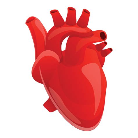 Human Heart Icon Cartoon Style Vector Art At Vecteezy