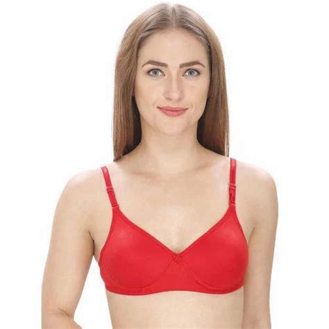 Cotton Plain Padded Ladies Bra Size 34 And 36 At Rs 80 Piece In New