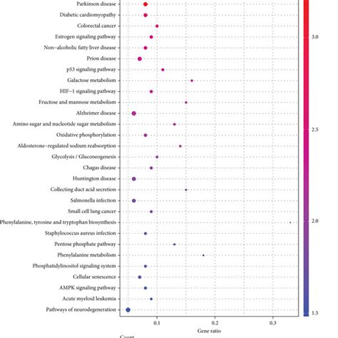 Identification And Functional Enrichment Analysis Of Degs In The