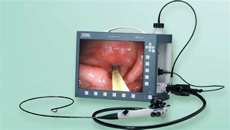 Endoscopic Camera Veterinary Imaging Display Silver Scope Karl