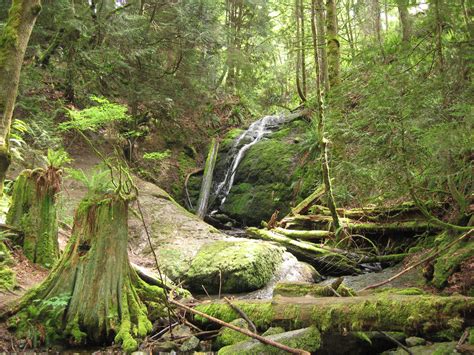 Cougar_Mountain_Park_Coal_Creek_Falls - Mountains To Sound Greenway Trust