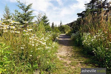 Mount Mitchell: hiking the Old Mitchell Trail and Comissary Trail Loop