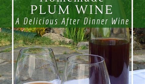 Homemade Plum Wine Recipe Healthy Food Near Me