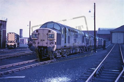 Rail Online Class 37 English Electric Type 3 6787 1968 Hull Dairycoates