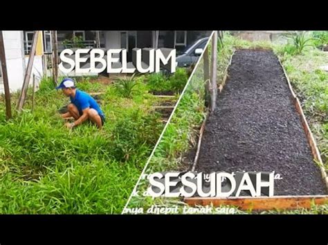 Cara Membuat Raised Bed Baru Dari Nol Bebas Ribet Youtube