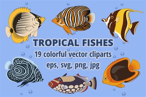 Tropical Fish Cliparts Bundle