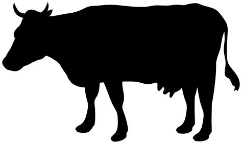 Jersey cattle Silhouette Dairy farming - Silhouette png download - 8000 ...