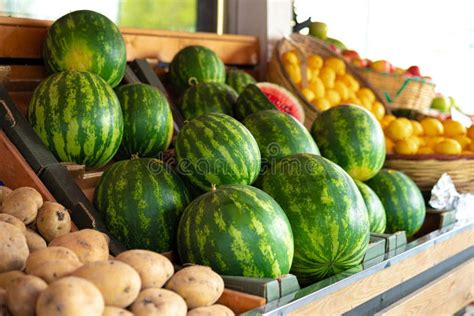 Fresh Watermelon Fruits At Stall Of Grocery Store Stock Image Image