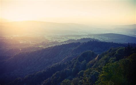 Wallpaper Sunlight Trees Landscape Sunset Hill Nature