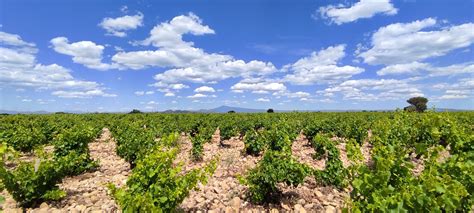 Domaine Barville Maison Brotte