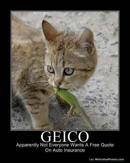 Geico Lizard Quotes. QuotesGram