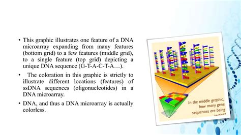 DNA MICROARRAY TECHNOLOGY FOR PRINCIPLE OF DRUG DISCOVERY PPT