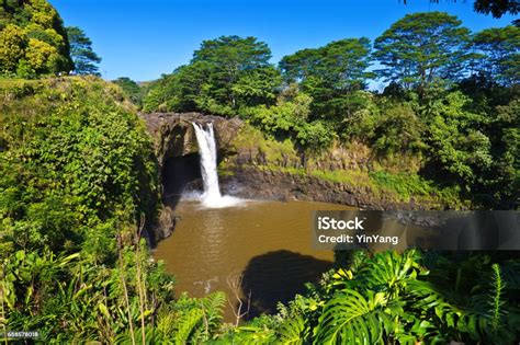 Rainbow Falls Hilo Hawaii Stock Photo Download Image Now Big Island