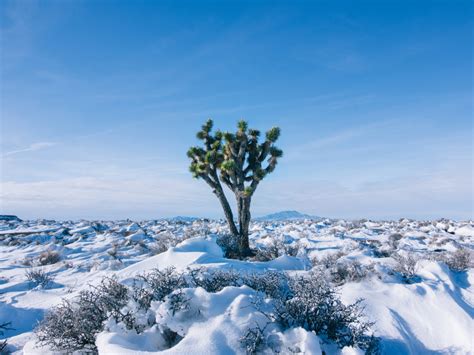 There Has Been Snow in the Desert and People Are Losing Their Minds ...