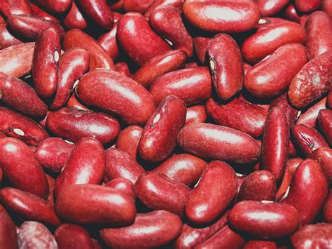 close  red beans background  stock photo public domain pictures