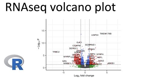 Rnaseq Volcano Plot Of Differentially Expressed Genes Youtube