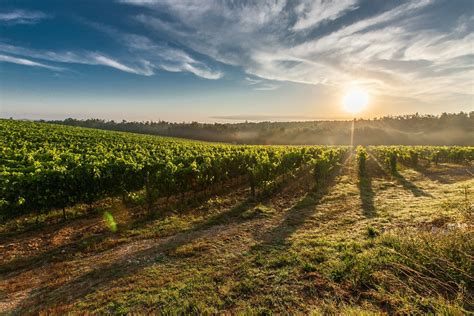 Best Tuscany Wine Tours - Europe Up Close