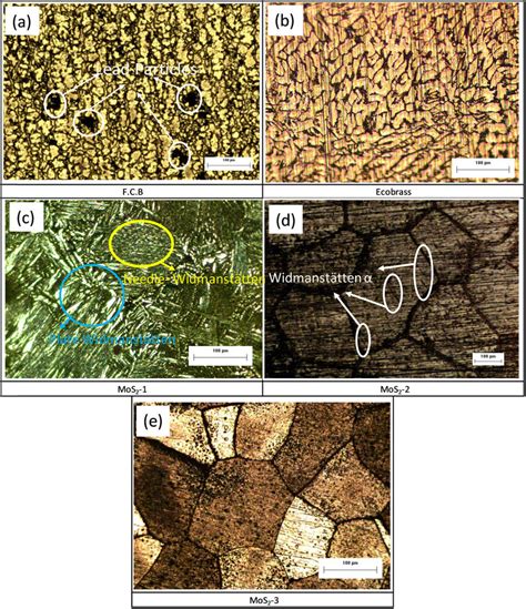 Microstructure On Longitudinal Cross Section Of Samples Taken By Download Scientific Diagram