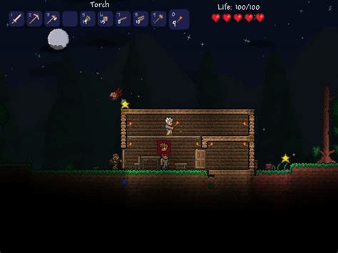 Your Human Guide Terraria Wiki Guide Ign