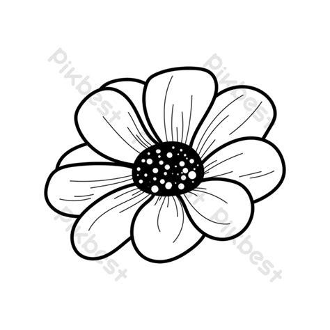 Black And White Line White Daisy Flower Clipart Black And White PNG ...