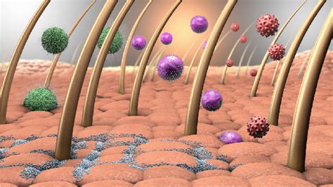 Different Types of Skin Cancer | Onco.com