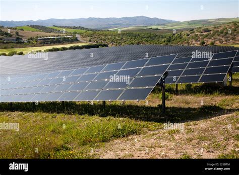 Matriz De Paneles Solares Fotovoltaicos En El Sol Del Mediterr Neo