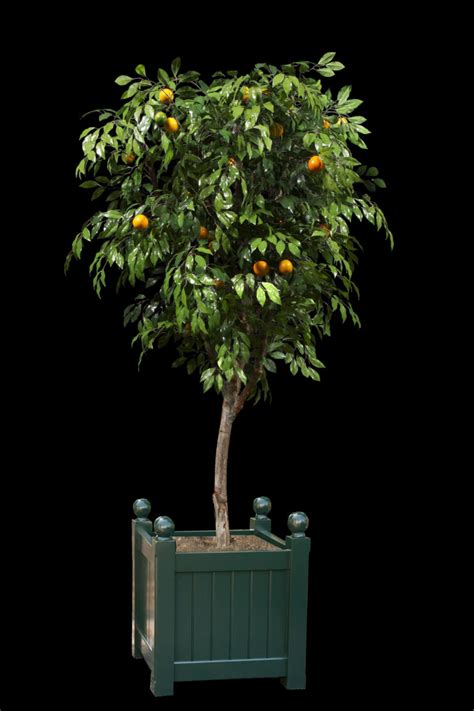 Artificial Orange Tree Treescapes And Plantworks