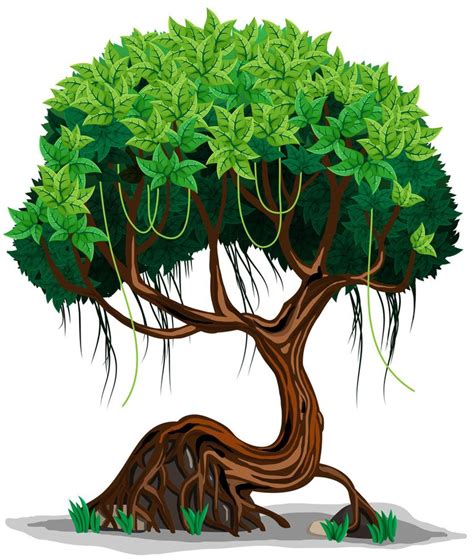 Jungle Tree Drawing