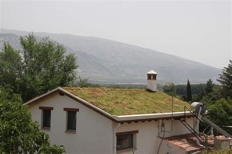 Cubierta Vegetal Activa En Una Vivienda En Granada Urbanarbolismo