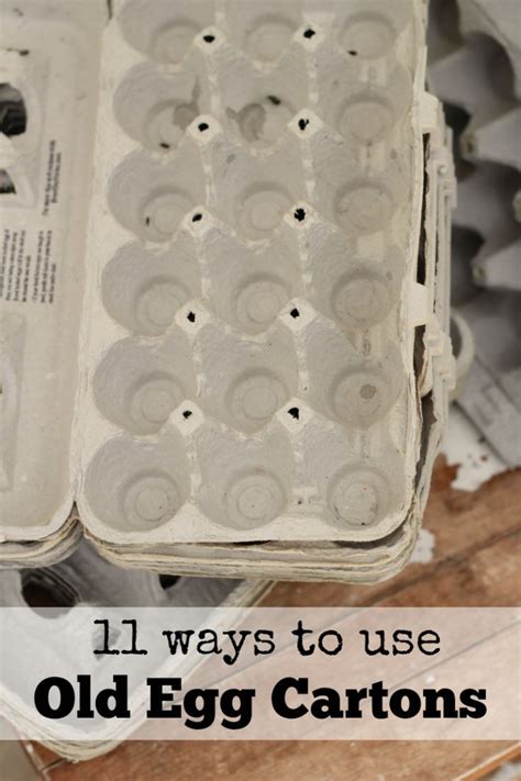 11 Creative Ways To Use Old Egg Cartons The Prairie Homestead Egg