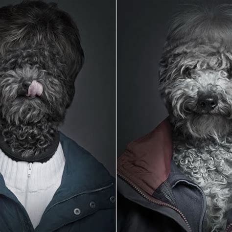 Photographs Of Dogs Dressed In Human Clothes Complex