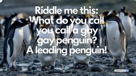 Best Gay Riddles For Adults Seeking A Laugh