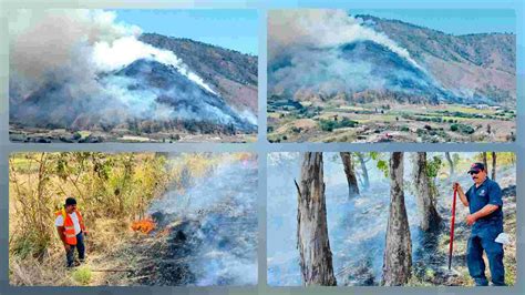 Fuera De Control Incendio Forestal Del Cerro De San Juan Diario De