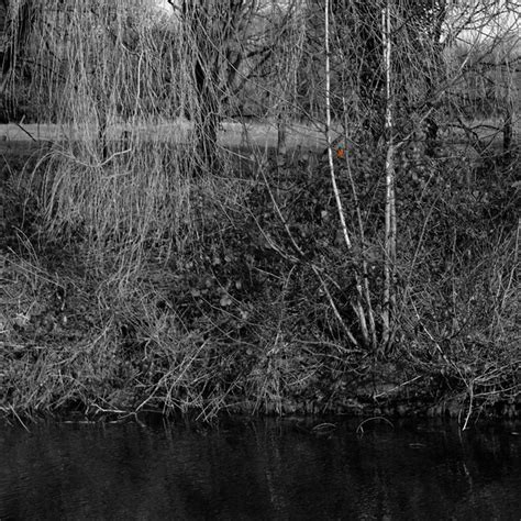 2022 02 11 Driffield Canal Walk - Wolds Photography