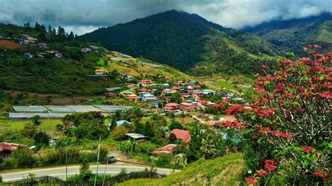 7 Best Hotels in Kundasang. Hotels from $7/night - KAYAK