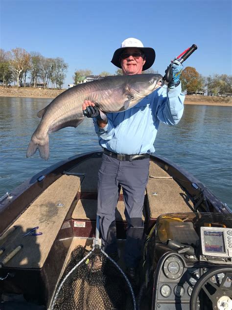 Fishing for Smallmouth and Caught a Big Catfish : r/Fishing