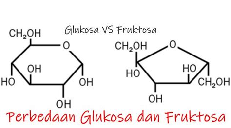 5 Perbedaan Glukosa dan Fruktosa • Jagoan Kelas