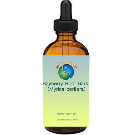 Bayberry Root Barktinctures Liquid Herbal Extracts And Their Uses