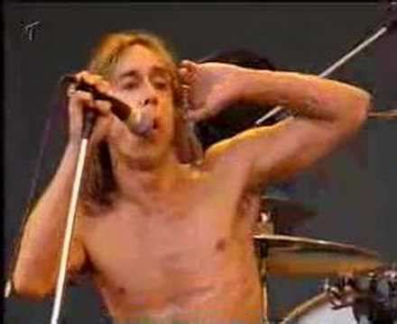 Iggy Pop Lust For Life Live YouTube