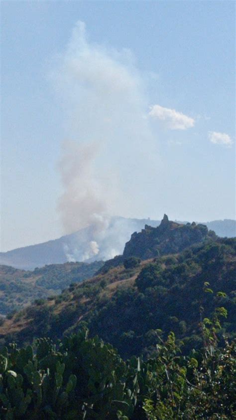 Giornata Di Incendi In Sicilia E Sardegna Elicotteri E Canadair Per Un